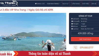 Chơi hết mình chill thả ga với tour 3 đảo Nha Trang cực chất từ Nha Trang Travel