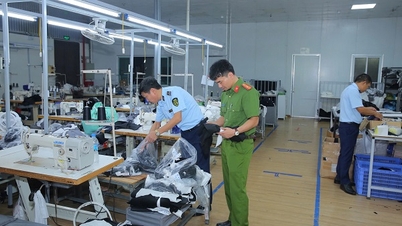Detectarea unei fabrici care produce mărci comerciale contrafăcute în Ninh Binh