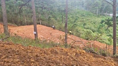 Lâm Đồng: Đề nghị Công an điều tra, làm rõ vụ cán...