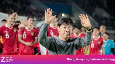 HLV Shin Tae-yong từ chức