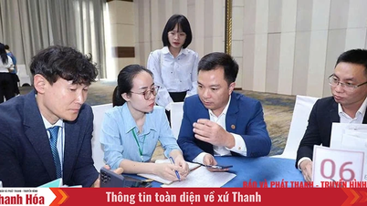 Mở rộng “cánh cửa” hội nhập qua các hiệp hội