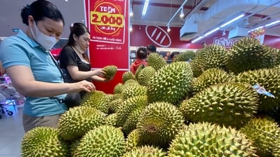 Sầu riêng xuất khẩu sang Trung Quốc bị trả về sẽ phải kiểm tra chất vàng O