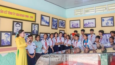 Chỉnh sửa Nội dung Giáo dục địa phương sau hợp nhất