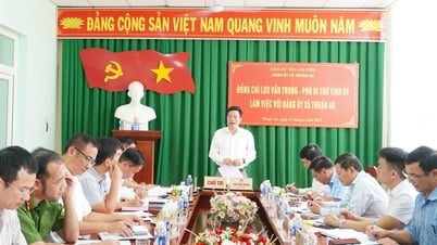 Xã Thuận An cần khẩn trương kiện toàn tổ chức bộ máy, cán bộ