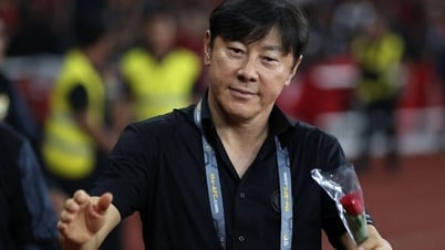 HLV Shin Tae Yong rời vị trí Phó Chủ tịch LĐBĐ Hàn Quốc