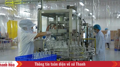 Nâng cao sức cạnh tranh cho nông sản