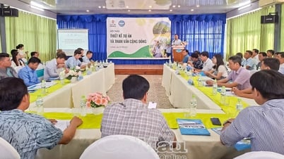 Phát huy tiềm năng carbon xanh
