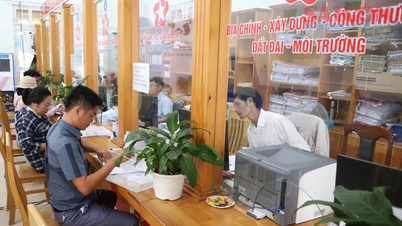 Chi tiết các xã, phường ở Lâm Đồng còn “trắng” cán bộ chuyên môn