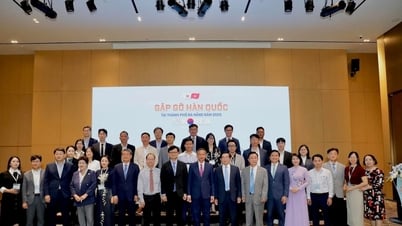 ĐÀ NẴNG - HÀN QUỐC:Điểm sáng trong hợp tác cấp địa phương