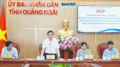 Thống nhất áp dụng cơ chế, chính sách sau sáp nhập tỉnh