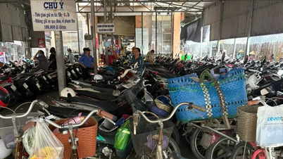 TP Cần Thơ: Kiểm tra toàn diện hoạt động thu phí giữ xe