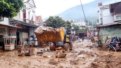 Ủy ban Trung ương MTTQ Việt Nam phân bổ 131 tỷ đồng hỗ trợ ba tỉnh khắc phục hậu quả thiên tai