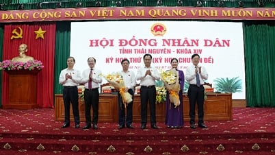 Hội đồng nhân dân tỉnh: Kiện toàn chức danh Phó Chủ tịch Ủy ban nhân dân tỉnh