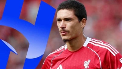 Liverpool tống khứ cầu thủ từng đắt giá kỷ lục