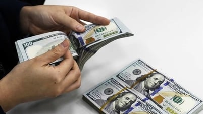Ngày 7-8: Tỷ giá trung tâm VND/USD tiếp tục tăng