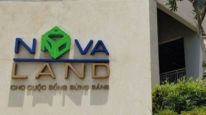 Novaland muốn phát hành 151 triệu cổ phiếu, hoán đổi 6.074 tỷ đồng nợ