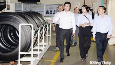 Đồng Tháp hái "trái ngọt" từ thu hút đầu tư