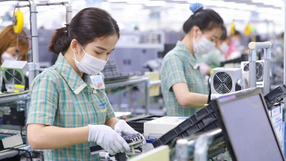 Hơn 174.000 doanh nghiệp gia nhập thị trường trong 7 tháng năm 2025