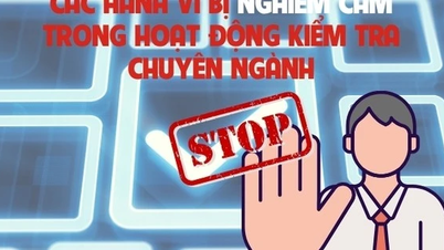 Infographics: Các hành vi bị nghiêm cấm trong hoạt động kiểm tra chuyên ngành
