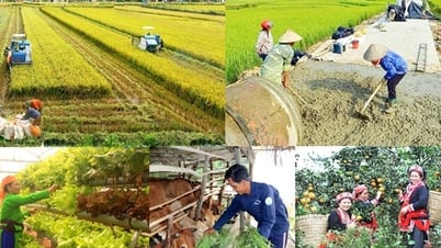 Nỗ lực thực hiện 3 Chương trình mục tiêu quốc gia đảm bảo thông suốt, liên tục