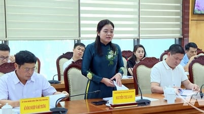 Thúc đẩy hợp tác triển khai Dự án kinh tế tuần hoàn xanh
