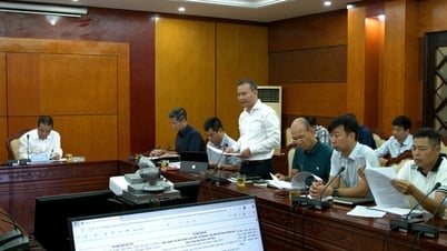 Lấy ý kiến về dự thảo Nghị định thay thế Nghị định 152 quy định một số chế độ đối với HLV, VĐV thể thao