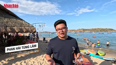 [Video] Bí ẩn "tường thành cổ" dưới lòng biển Gia Lai