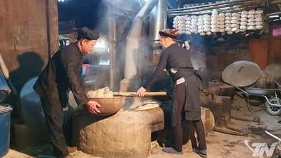 Hương say men lá Bằng Phúc