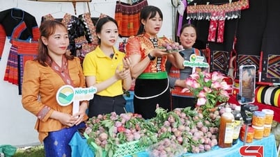 Nhiều giải pháp kết nối tiêu thụ nông sản