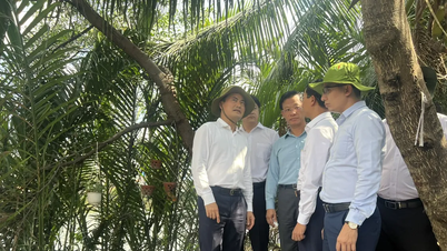 Ngày 13-8, TPHCM khởi công Dự án cải tạo bờ Bắc Kênh Đôi
