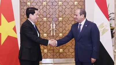 Tổng thống Ai Cập chủ trì lễ đón Chủ tịch nước Lương Cường
