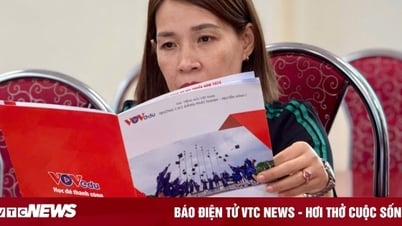 Học sinh trường THPT khu vực Tây Bắc có cơ hội nhận học bổng toàn phần từ VOVedu
