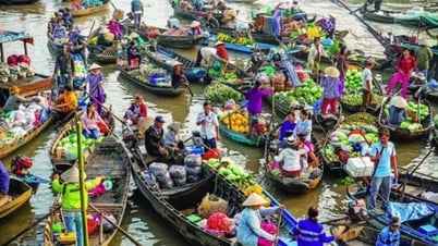 "Đánh thức" du lịch đường sông Nam Bộ