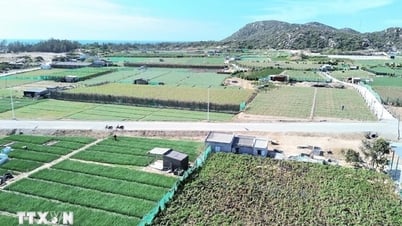 Thủ tướng Phạm Minh Chính làm Trưởng ban Chỉ đạo xây dựng nhà máy điện hạt nhân
