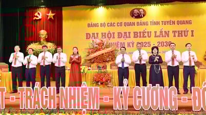 Đại hội đại biểu Đảng bộ các cơ quan Đảng tỉnh: Đoàn kết - Trách nhiệm - Kỷ cương - Đổi mới - Phát triển