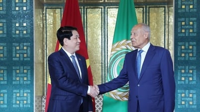 Việt Nam mong muốn phát triển quan hệ hiệu quả hơn nữa với Liên đoàn Arab