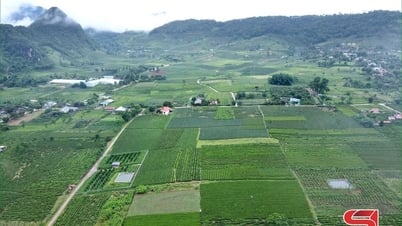 Phát triển sản phẩm OCOP gắn với lợi thế địa phương