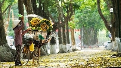 Thời tiết hôm nay (7-8): Miền Bắc giảm mưa, nhiệt độ cao nhất 34 độ C