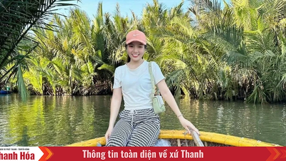 Kinh nghiệm đi rừng dừa Bảy Mẫu Hội An trong ngày chi tiết nhất