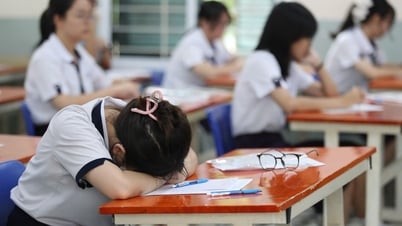 Điều gì  khiến sinh viên gặp khó khi vào năm nhất? Cách để vượt qua