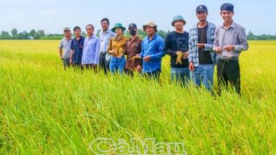 Nông nghiệp phát huy vai trò "trụ đỡ" tăng trưởng kinh tế