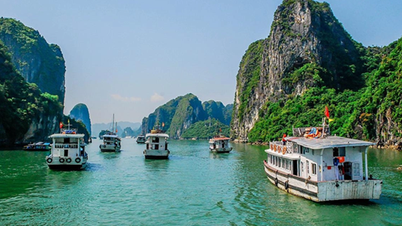 Tất cả tàu du lịch Quảng Ninh sẽ lắp đặt hệ thống kiểm soát thông tin, nhận dạng tự động