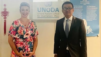 Việt Nam thúc đẩy hợp tác với Văn phòng Liên hợp quốc về giải trừ quân bị tại Vienna