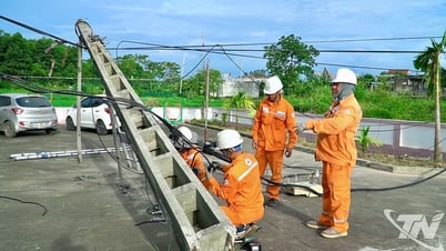 Khắc phục sự cố lưới điện sau cơn bão số 3