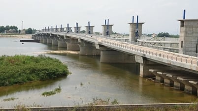 Đôn đốc tiến độ công trình đập dâng sông Trà Khúc