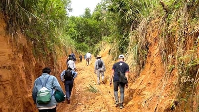 Xã Phước Trà khảo sát, nghiên cứu đề xuất đầu tư tuyến giao thông kết nối liên vùng