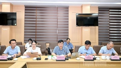 Phó Chủ tịch UBND tỉnh Hoàng Gia Long làm việc với Đoàn công tác Ngân hàng Phát triển Châu Á