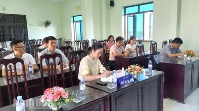 Đấu giá quyền khai thác mỏ cát làm vật liệu san lấp tại xã Nhân Hà và xã Nam Lý