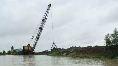 Tây Ninh: 33 ô bao kiểm soát lũ có nguy cơ mất an toàn trong tháng 8