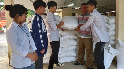 Phú Thọ cần cấp trên 4.300 tấn gạo cho học sinh trong năm học tới